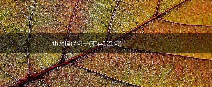 that指代句子(推荐121句),第1张