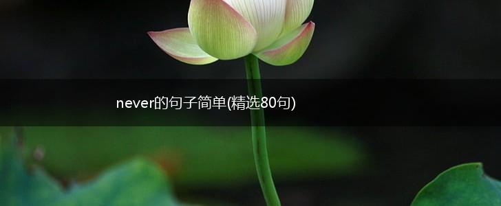 never的句子简单(精选80句),第1张