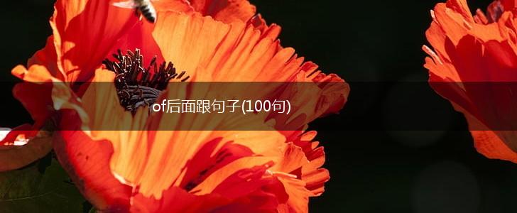 of后面跟句子(100句),第1张