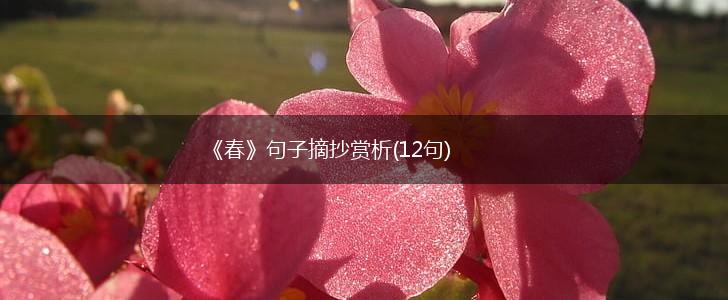 《春》句子摘抄赏析(12句),第1张