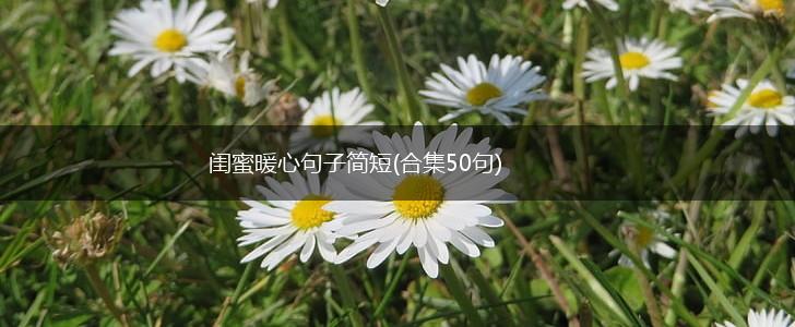 闺蜜暖心句子简短(合集50句),第1张