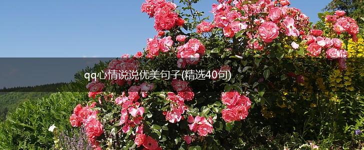 qq心情说说优美句子(精选40句),第1张