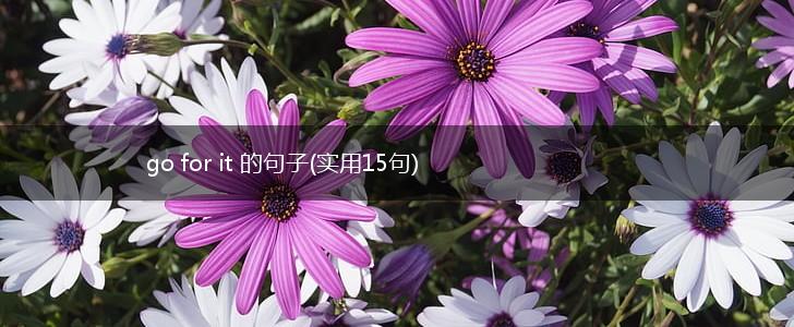 go for it 的句子(实用15句),第1张
