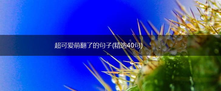 超可爱萌翻了的句子(精选40句),第1张
