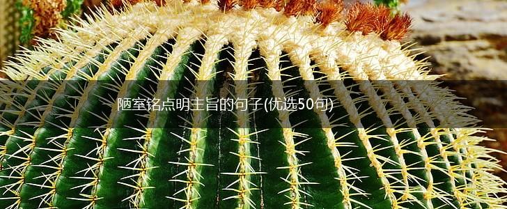 陋室铭点明主旨的句子(优选50句),第1张