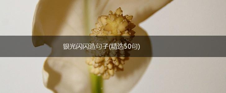 银光闪闪造句子(精选50句),第1张
