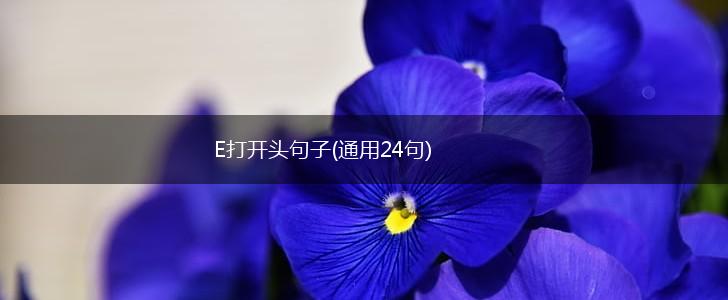 E打开头句子(通用24句),第1张
