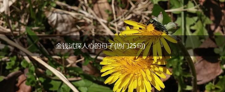 金钱试探人心的句子(热门25句),第1张