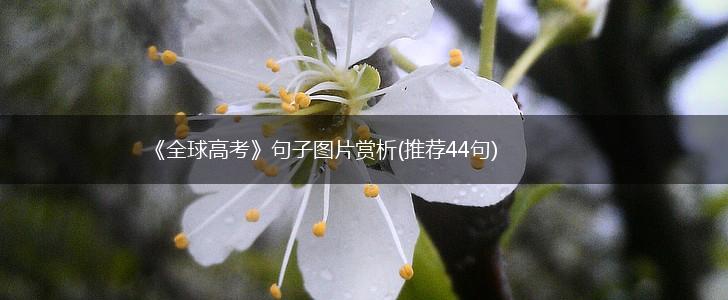 《全球高考》句子图片赏析(推荐44句),第1张