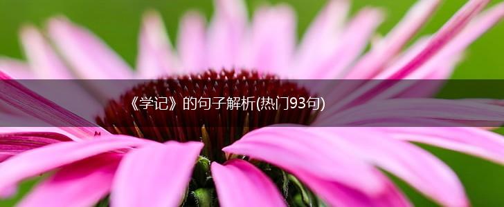 《学记》的句子解析(热门93句),第1张