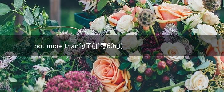 not more than句子(推荐60句),第1张