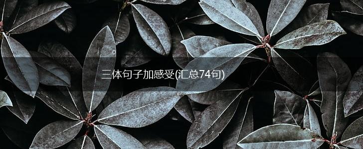 三体句子加感受(汇总74句),第1张