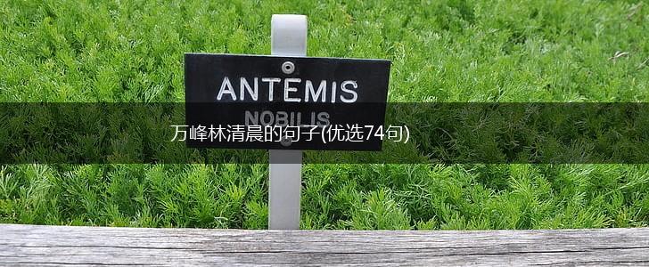 万峰林清晨的句子(优选74句),第1张