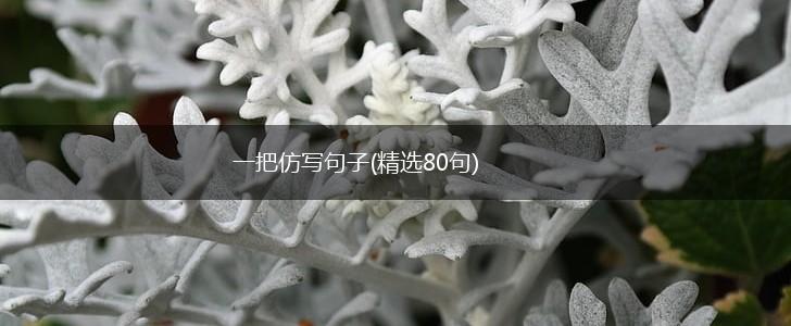一把仿写句子(精选80句),第1张