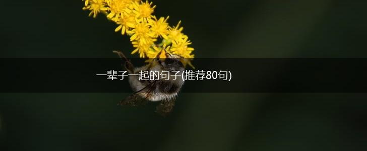 一辈子一起的句子(推荐80句),第1张