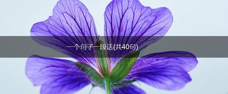 一个句子一段话(共40句),第1张