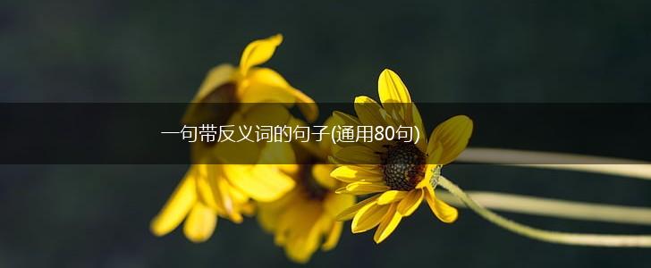 一句带反义词的句子(通用80句),第1张
