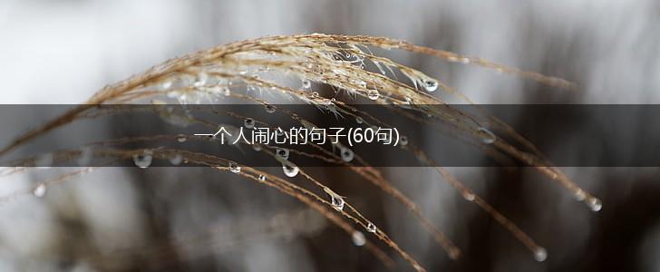 一个人闹心的句子(60句),第1张