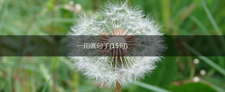 一用就句子(15句),第1张