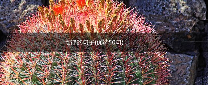 七律的句子(优选50句),第1张