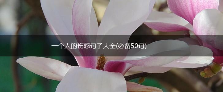一个人的伤感句子大全(必备50句),第1张