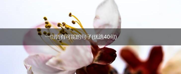 一切皆有可能的句子(优选40句),第1张