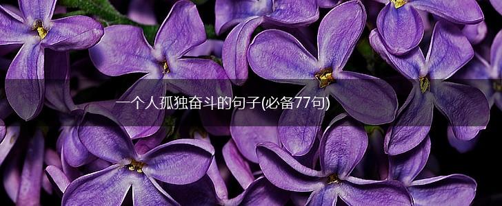 一个人孤独奋斗的句子(必备77句),第1张