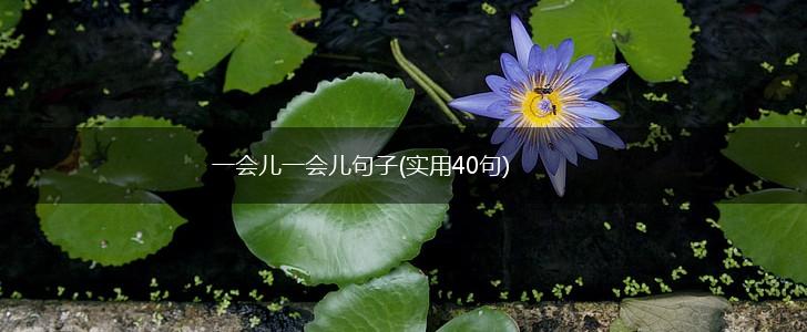 一会儿一会儿句子(实用40句),第1张