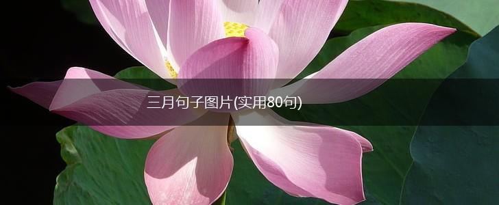 三月句子图片(实用80句),第1张