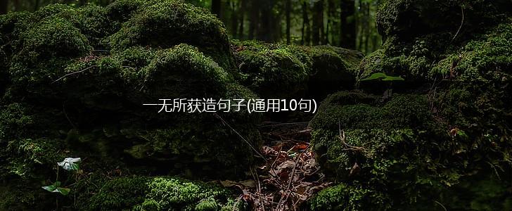 一无所获造句子(通用10句),第1张