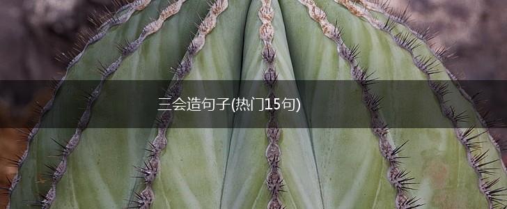三会造句子(热门15句),第1张