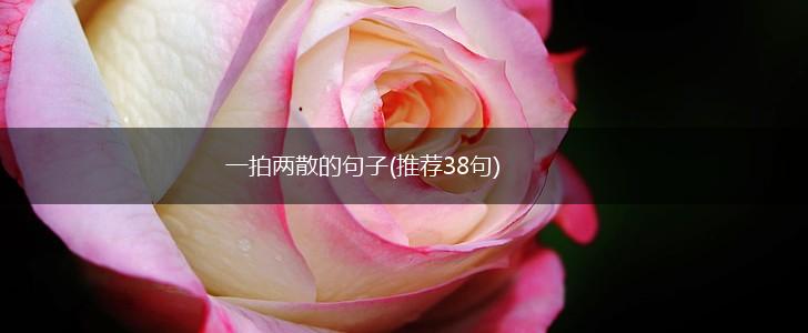 一拍两散的句子(推荐38句),第1张