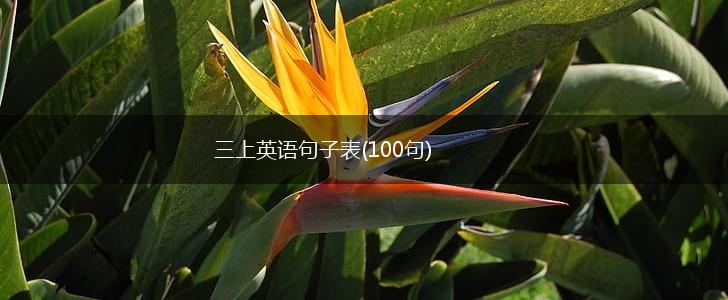 三上英语句子表(100句),第1张