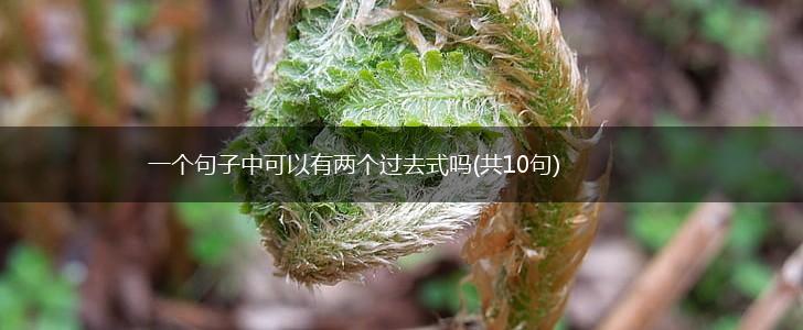 一个句子中可以有两个过去式吗(共10句),第1张