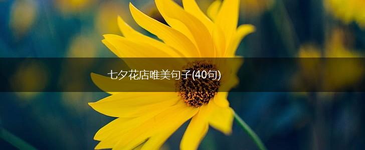 七夕花店唯美句子(40句),第1张