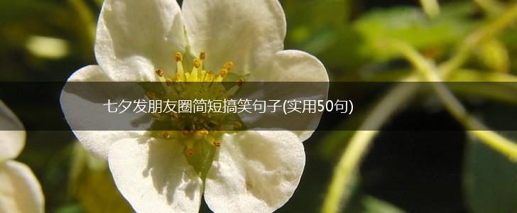 七夕发朋友圈简短搞笑句子(实用50句),第1张