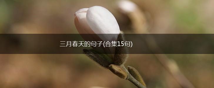 三月春天的句子(合集15句),第1张