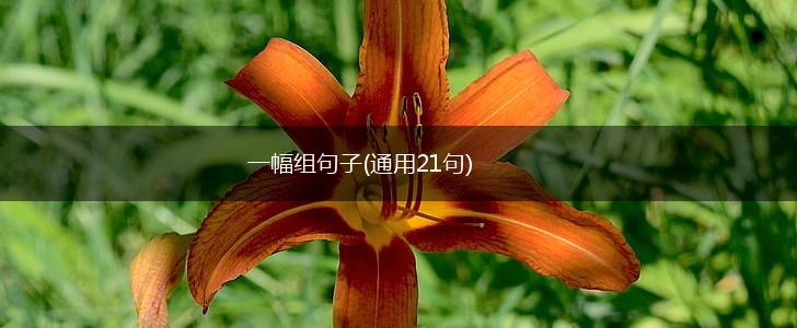一幅组句子(通用21句),第1张