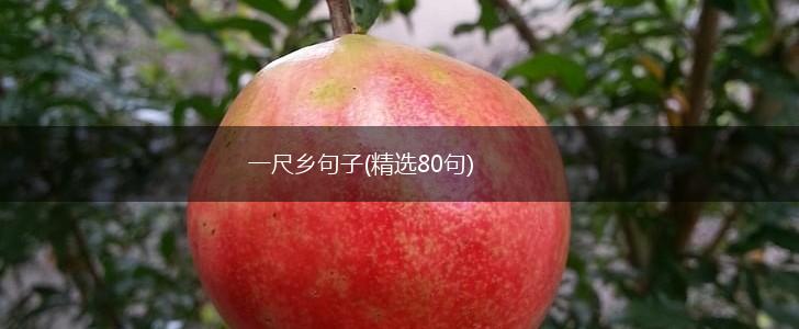 一尺乡句子(精选80句),第1张