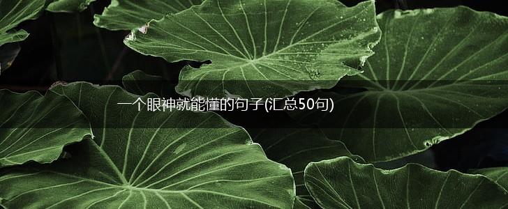 一个眼神就能懂的句子(汇总50句),第1张