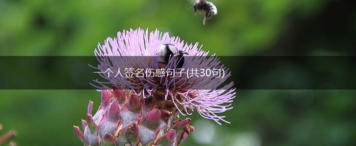 一个人签名伤感句子(共30句),第1张