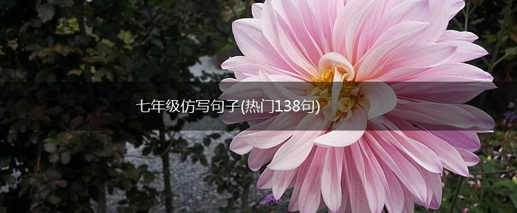 七年级仿写句子(热门138句),第1张
