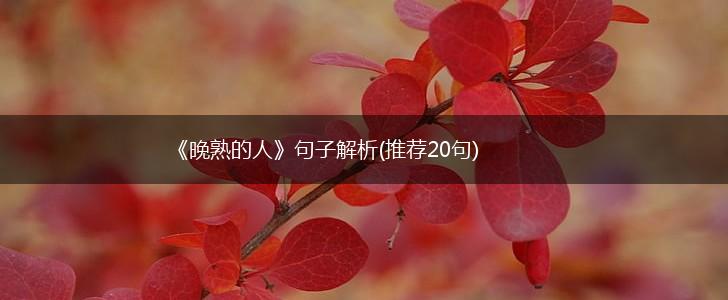 《晚熟的人》句子解析(推荐20句),第1张
