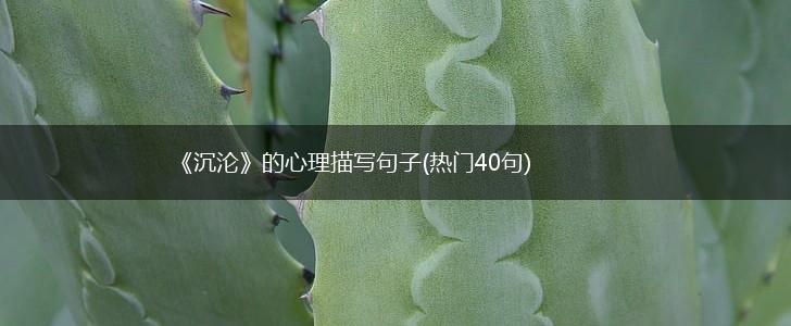 《沉沦》的心理描写句子(热门40句),第1张