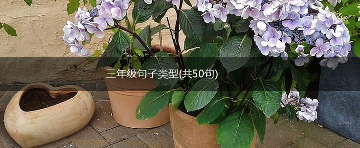 三年级句子类型(共50句),第1张