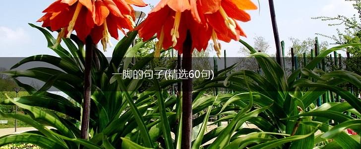 一脚的句子(精选60句),第1张