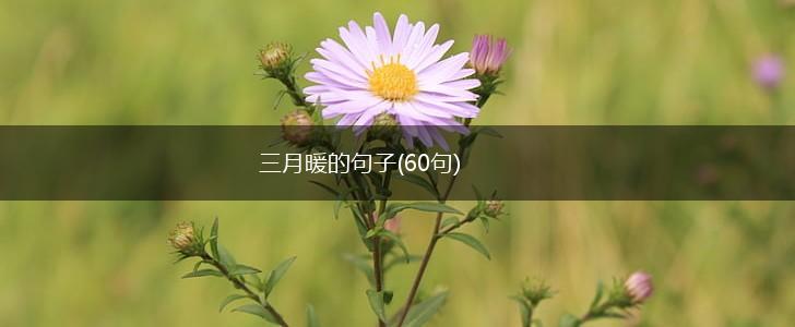 三月暖的句子(60句),第1张