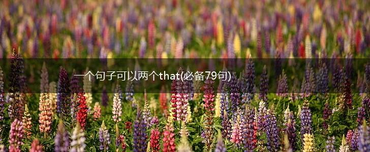 一个句子可以两个that(必备79句),第1张