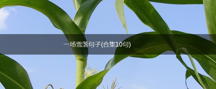 一场雪落句子(合集10句),第1张