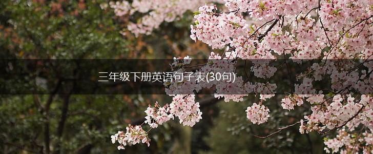 三年级下册英语句子表(30句),第1张